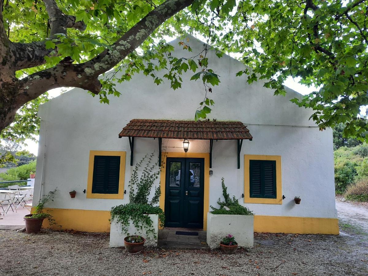 Montejunto Villas - Casa Do Platano Cadaval Экстерьер фото