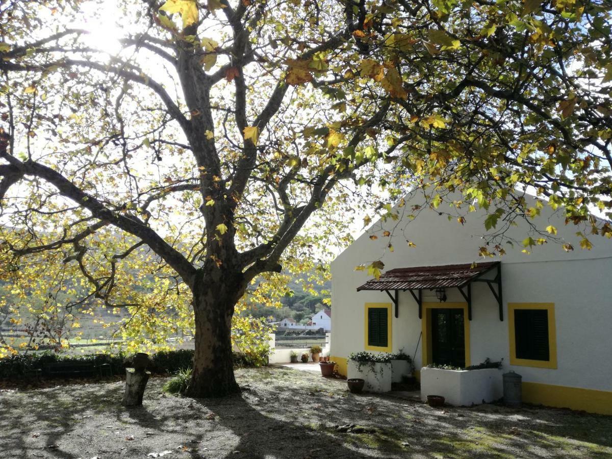 Montejunto Villas - Casa Do Platano Cadaval Экстерьер фото