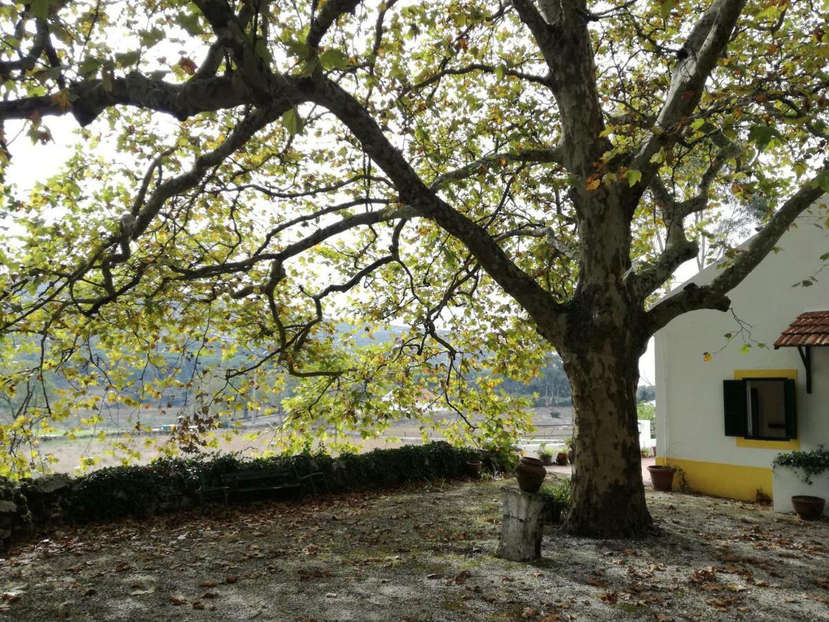 Montejunto Villas - Casa Do Platano Cadaval Экстерьер фото